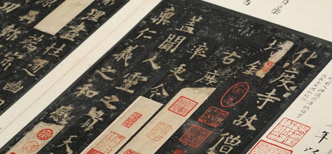 ä»å±åº14å¤©çåç¢åæ¬å¤§å±å°åºæå¥çå¤´ï¼