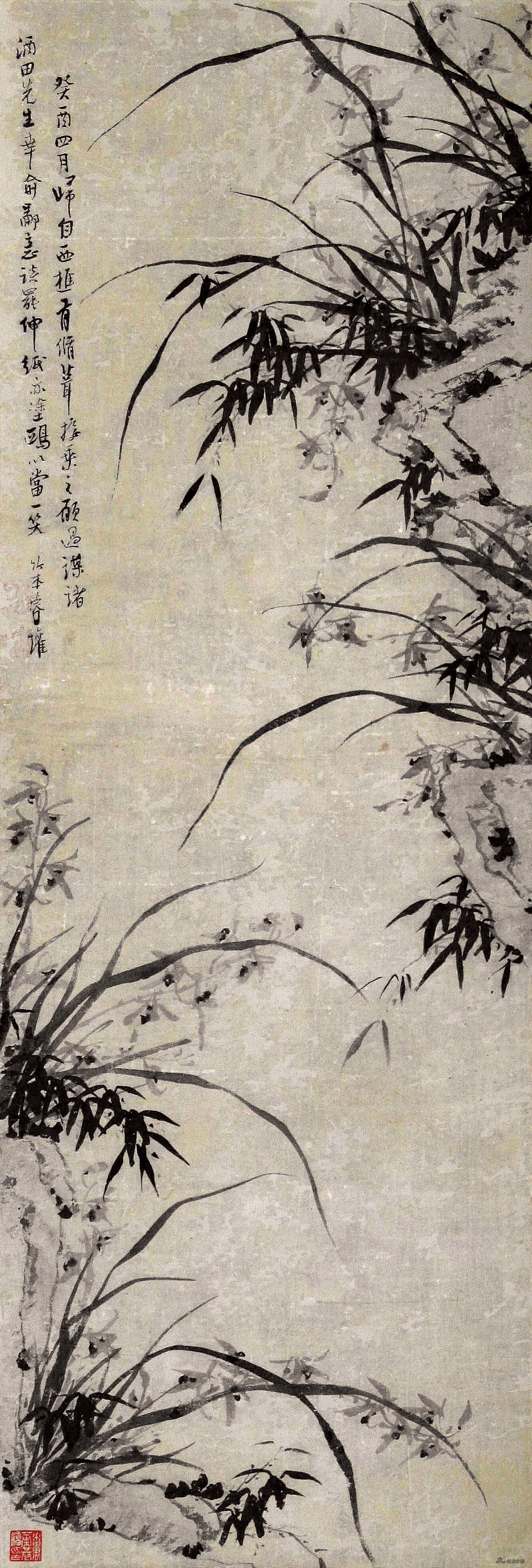 墨兰图 （明）彭睿壦 105cm×36cm 无年款 纸本水墨 广州艺术博物院藏