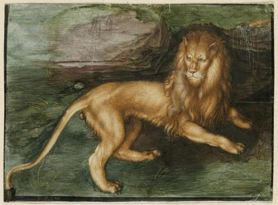 丢勒，《狮子》，1494