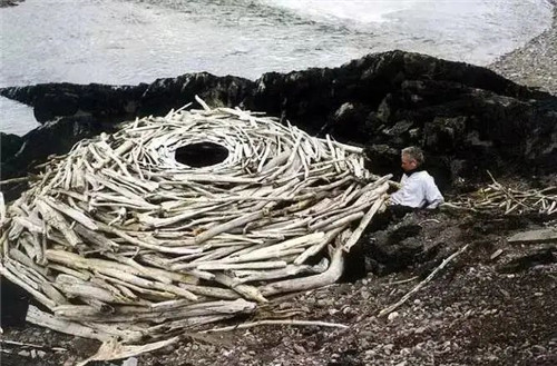 24.英国艺术家Andy Goldsworthy 在创作中