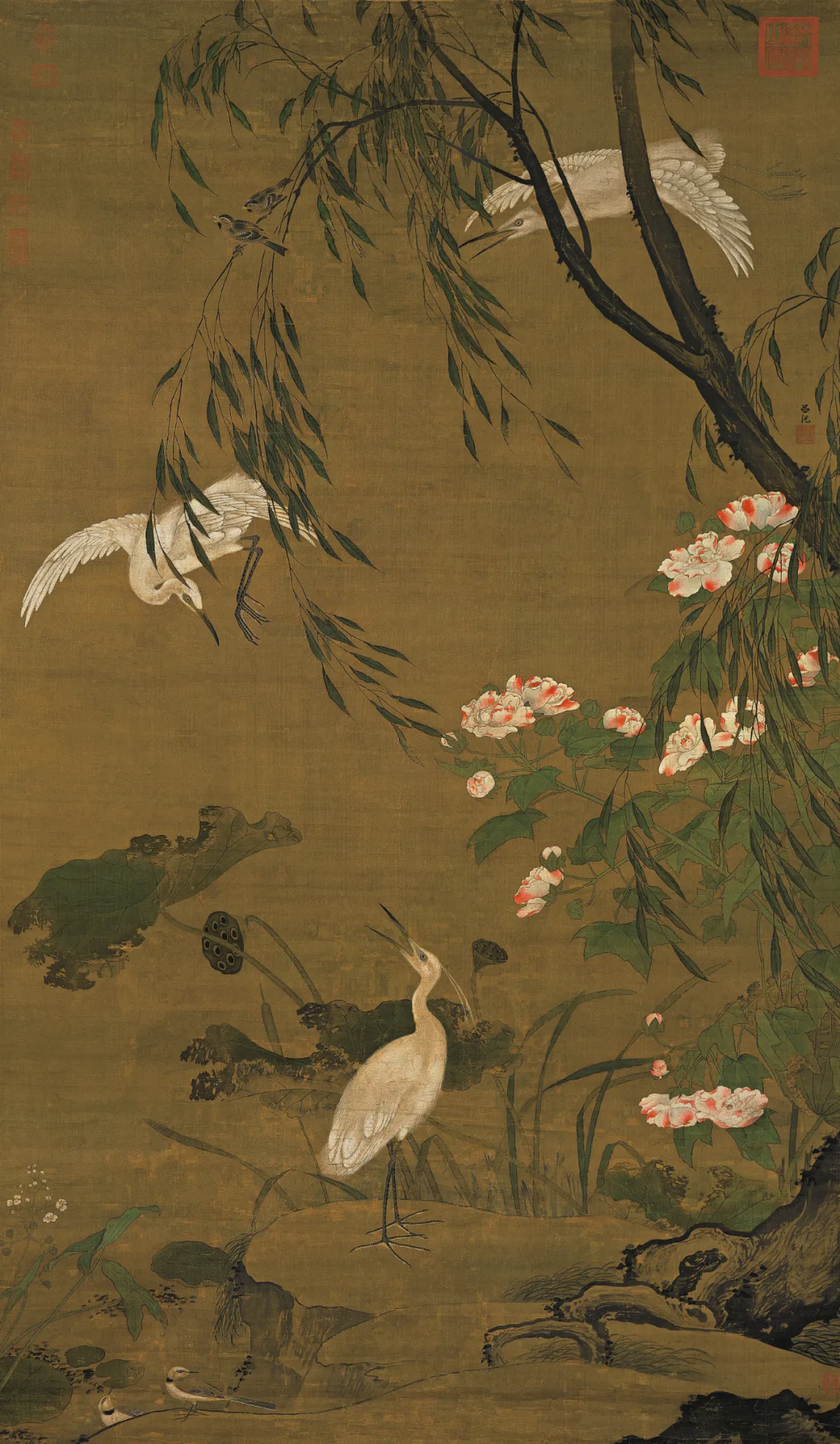 明 吕纪 秋鹭芙蓉图
