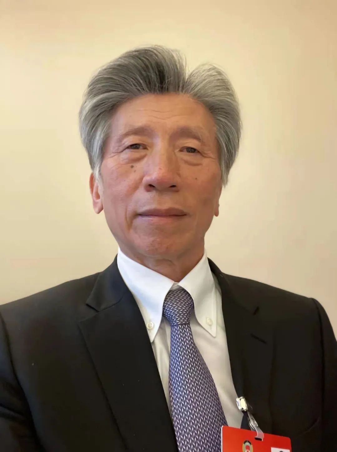 聚焦两会 范迪安：持续推动重大主题美术创作、加强艺术赋能乡村振兴、加强西藏自治区石窟与寺庙壁画保护研究