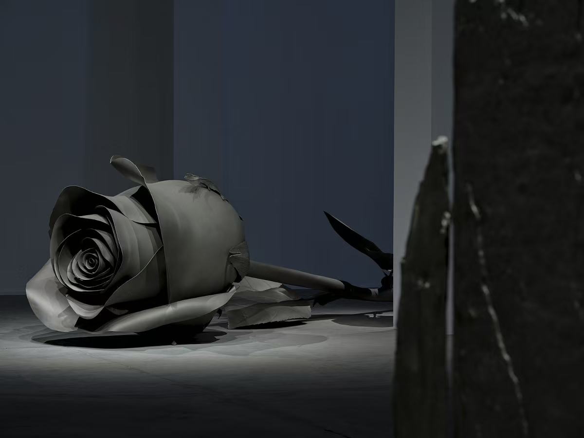 ddq8dwaocuwdoln07z.jpg