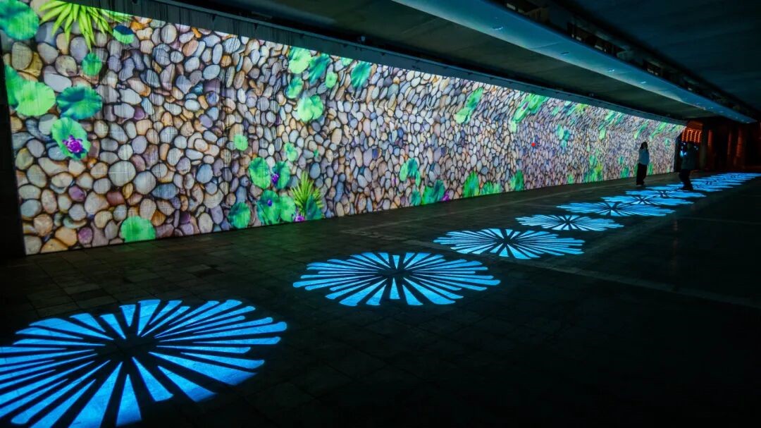 1764320188922152.png image.png