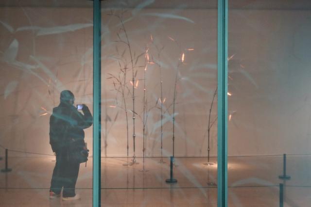 “此中:竹与园的互观”展览在北京扩容续展