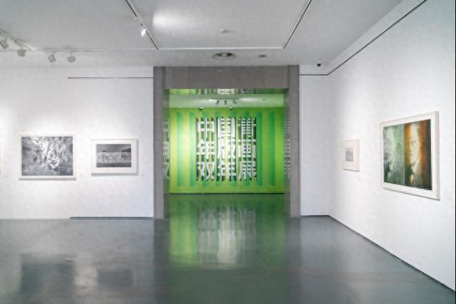 观念新、手段新、思想新!这场青年版画展“尽显青年气象”