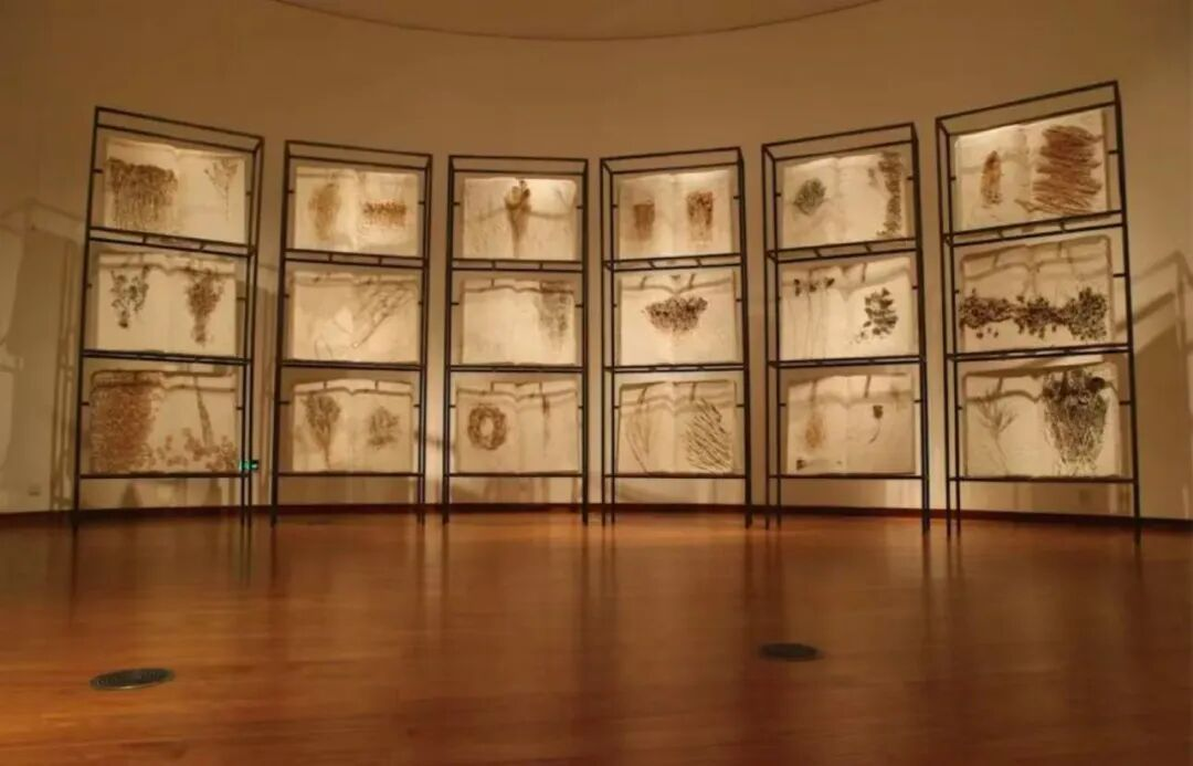 施慧 《本草纲目》 600x48x360cm 镀锌铁丝网、纸浆、干枯植物 2009年