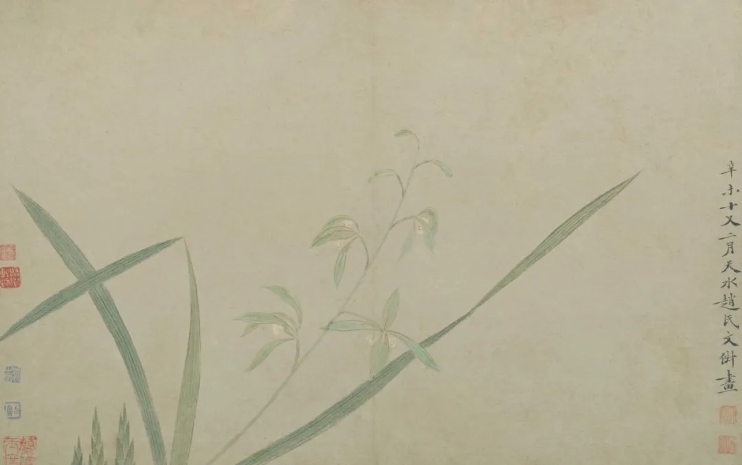  （明）文俶《花卉图册》，故宫博物院藏