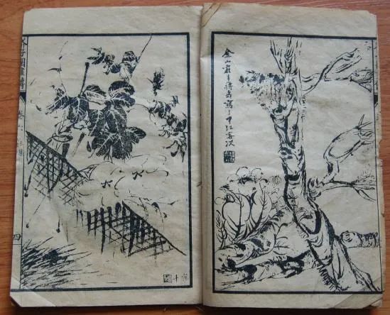 图片
