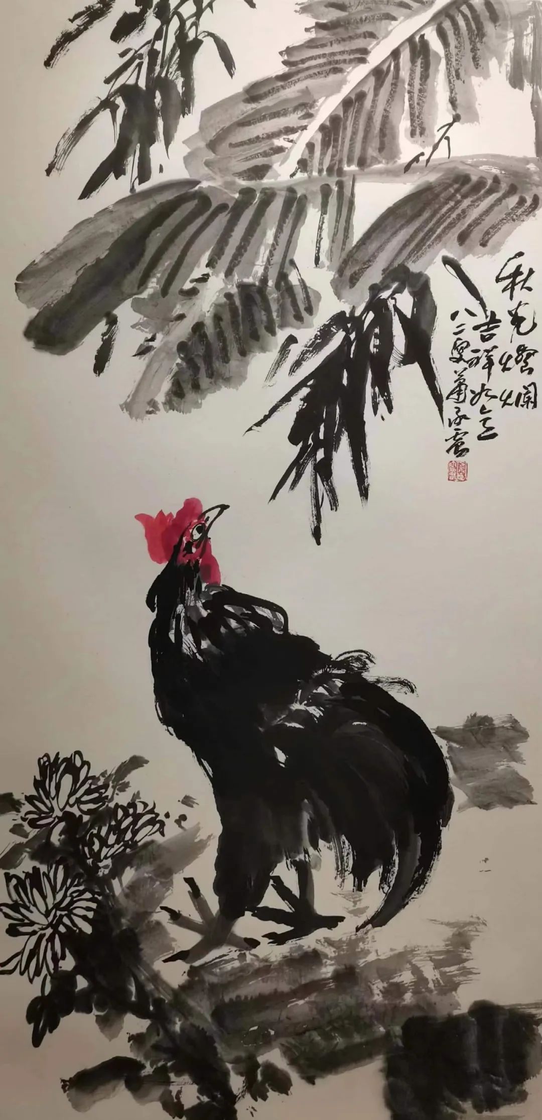 图片