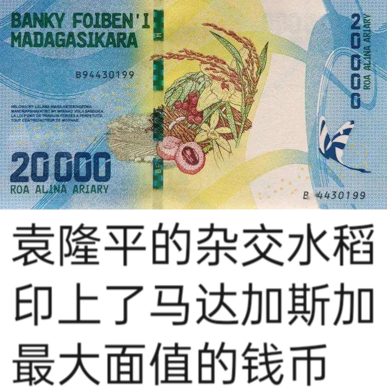 d9c4q869wxzhqpynkf.jpg