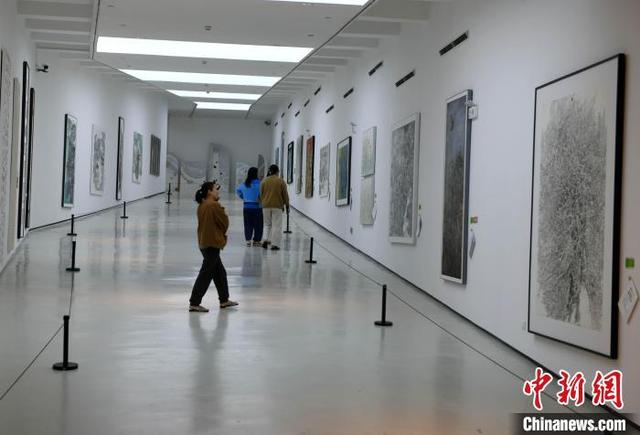 四川美术学院启幕2025研究生毕业作品展